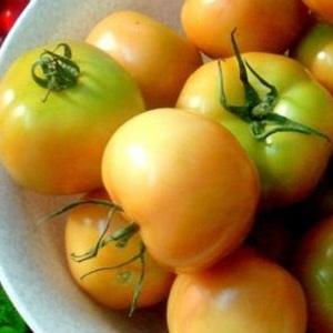 The best recipes for harvesting brown tomatoes for the winter