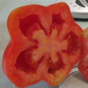 Why it is worth growing a tomato Etual: the benefits of the variety and tips for getting a rich harvest