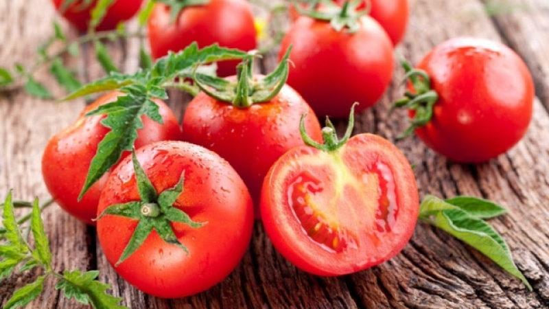 Disease Resistant and Easy Care Gina's Tomato - A Practical Guide to Growing