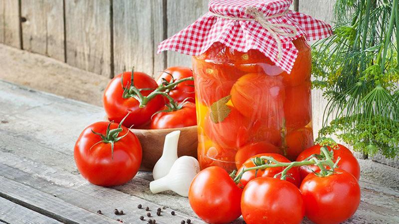 Disease Resistant and Easy to Care Gina Tomato - A Practical Guide to Growing