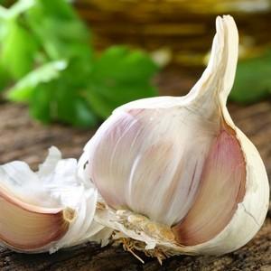 Top 30 best varieties of garlic, their photos with descriptions and help in choosing the right variety
