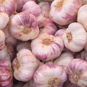 Top 30 best varieties of garlic, their photos with descriptions and help in choosing the right variety
