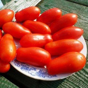 An excellent variety for preservation and various dishes - tomato Ladies fingers: we grow it ourselves