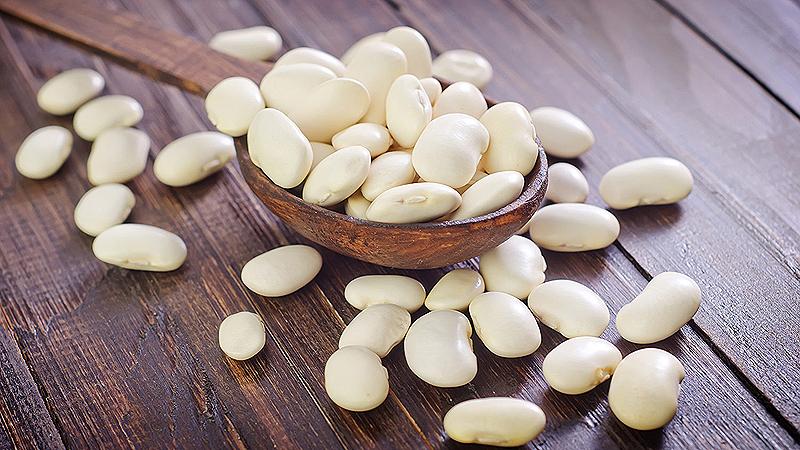 Features of growing white beans