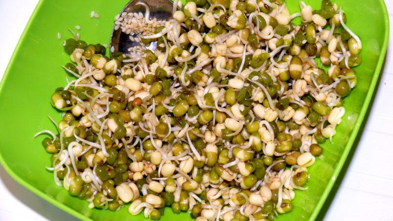 A real find for losing weight and raw foodists: how to germinate mung bean at home and how to eat it correctly