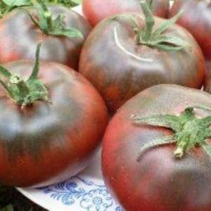 Features of growing and caring for black Bison tomato