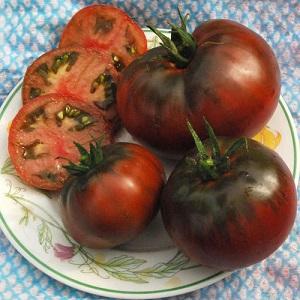 Features of growing and caring for black Bison tomato