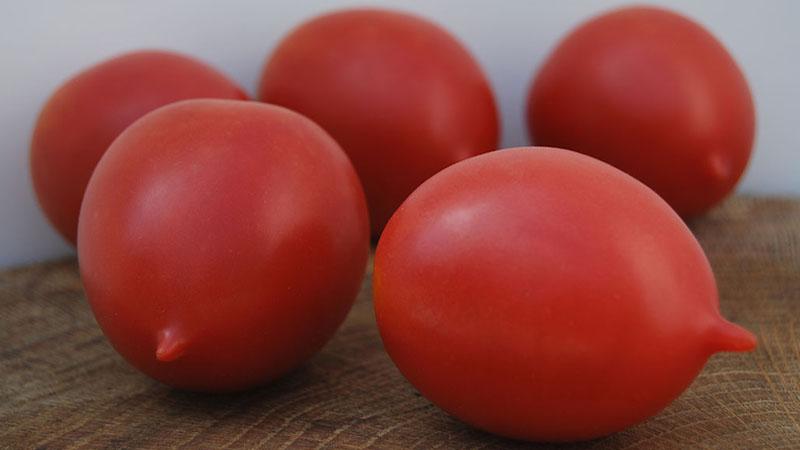 A whole palette in the garden in one variety - De Barao tomato and the secrets of its cultivation