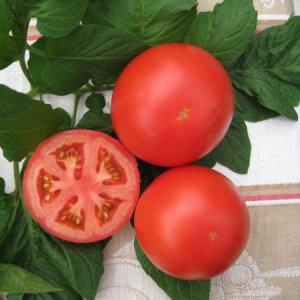 Bunches of bright red fruits, as in the picture: Verliok's tomato - garden decoration