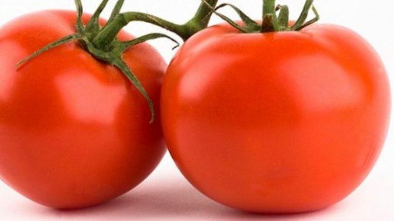 Pros and cons of hybrid tomato Snowman F1