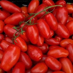 Why Cherry Tomatoes Are So Good