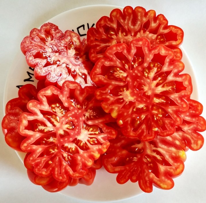 Top 25 sweetest tomato varieties and tips for choosing them for every gardener