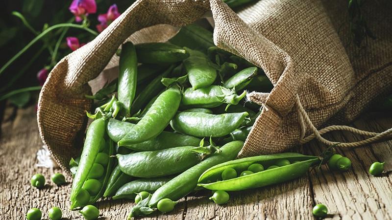 What are useful and harmful peas for humans