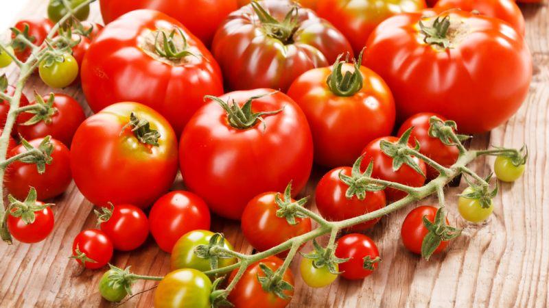 Why tomatoes are harmful and useful for humans