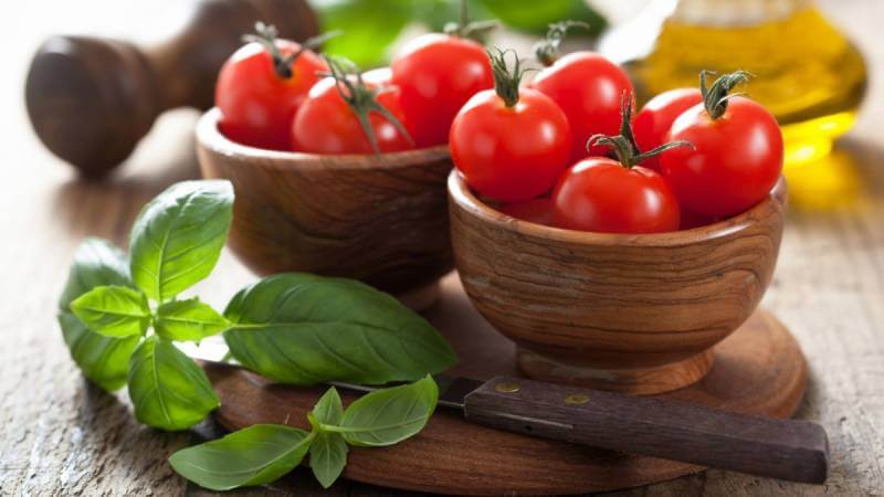 Why tomatoes are harmful and useful for humans