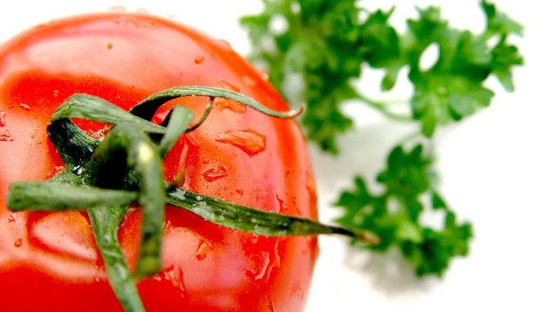 What to do if caterpillars are bred in tomatoes - popular ways to combat a pest