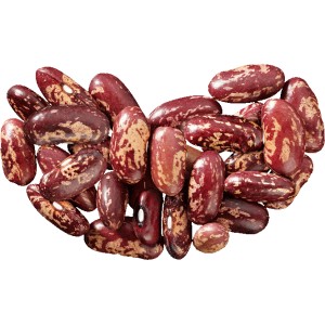 How beans act on the body: benefits and harms, secrets of preserving vitamins and rules of use