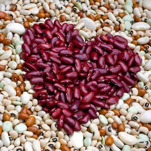 How beans act on the body: benefits and harms, secrets of preserving vitamins and rules of use