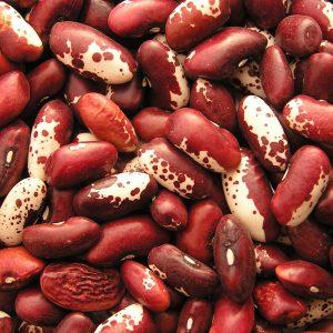 How beans act on the body: benefits and harms, secrets of preserving vitamins and rules of use