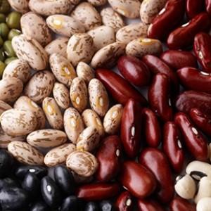 How beans act on the body: benefits and harms, secrets of preserving vitamins and rules of use