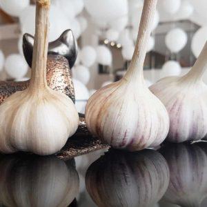 The simplest do-it-yourself preparations: storing garlic in glass jars - life hacks and important rules