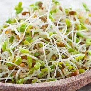 A practical guide on how to sprout peas from experienced summer residents