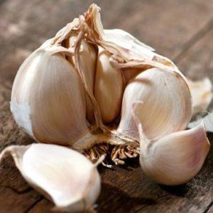 How to recognize spring and winter garlic: differences in varieties in appearance, taste and other characteristics