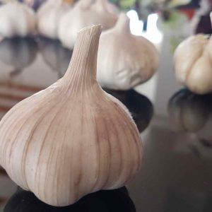 How to recognize spring and winter garlic: differences in varieties in appearance, taste and other characteristics