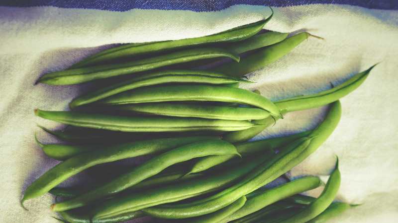 What kind of asparagus beans to grow: varieties that will not leave anyone indifferent