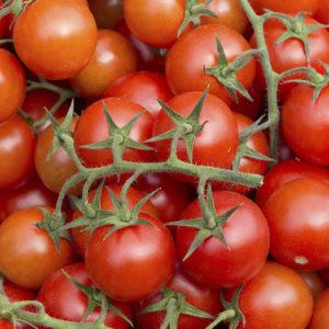 Red Riding Hood tomatoes popular among summer residents: description of the variety and instructions for growing it independently