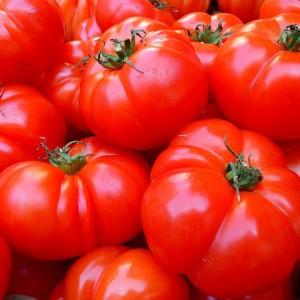 Many argue about whether a tomato is a berry or a vegetable: let's figure it out together and consider different points of view