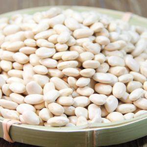 Features of growing white beans