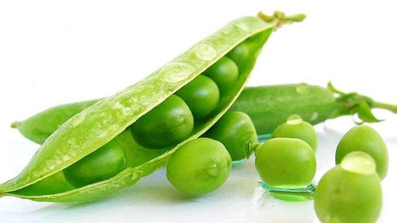 Features of growing green peas