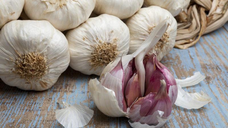 A selection of the best methods for preserving garlic at home for the whole winter