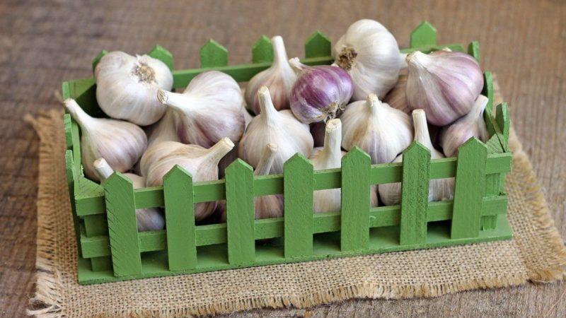 A selection of the best methods for preserving garlic at home for the whole winter