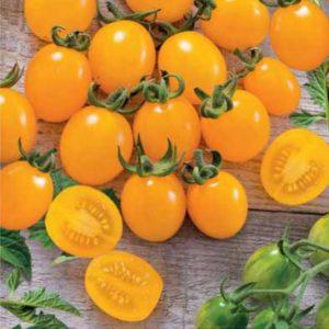 Positive and negative sides of Ildi tomato