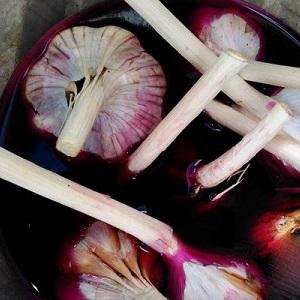 We protect the future harvest from pests and diseases - proper processing of garlic before planting