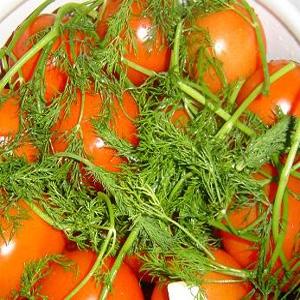 Top 16 delicious tomato preparations: tomatoes in gelatin for the winter - recipes and instructions for cooking