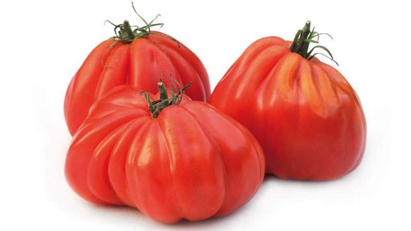 Top best varieties of pink tomatoes