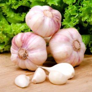 The best varieties of spring garlic: choose the appropriate type according to the parameters