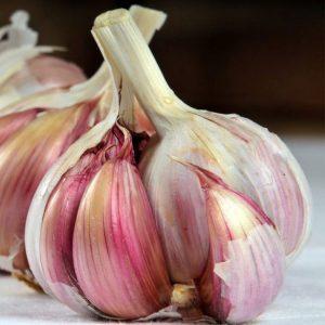 The best varieties of spring garlic: choose the appropriate type according to the parameters