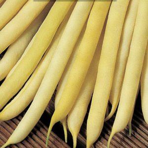 How to grow delicious green beans in the country
