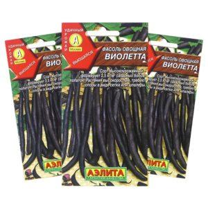 How to grow delicious green beans in the country