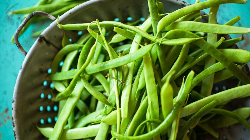 Why is it worth growing Red Riding Hood beans on your site - description of the variety and its advantages
