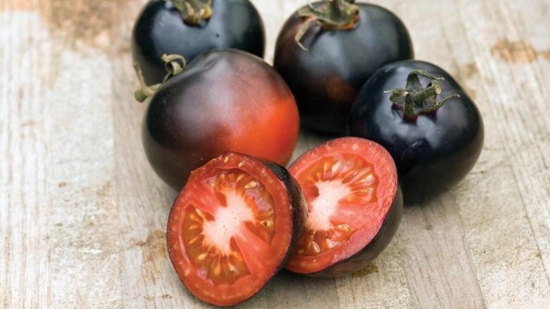 Indigo rose tomato cultivation technology for beginners and experienced farmers