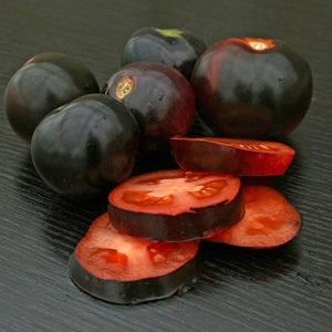 Indigo rose tomato cultivation technology for beginners and experienced farmers