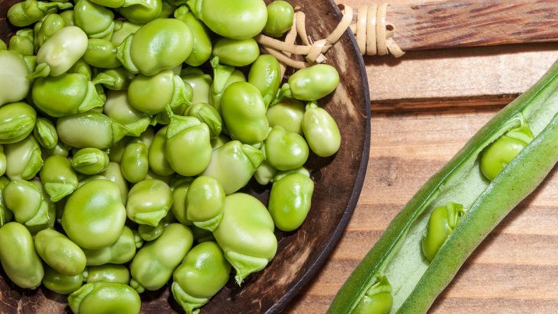Top 26 best varieties of beans with photos and descriptions: what varieties they are and how to choose the right one