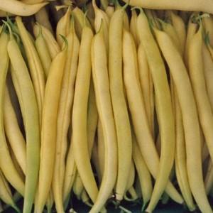 Top 26 best varieties of beans with photos and descriptions: what varieties they are and how to choose the right one