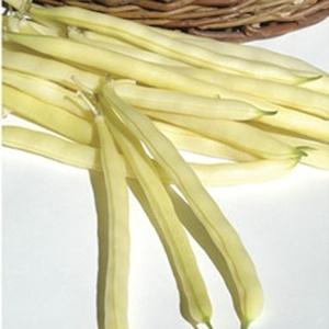 Top 26 best varieties of beans with photos and descriptions: what varieties they are and how to choose the right one