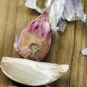 We treat garlic diseases ourselves and get rid of pests: effective methods and preventive measures